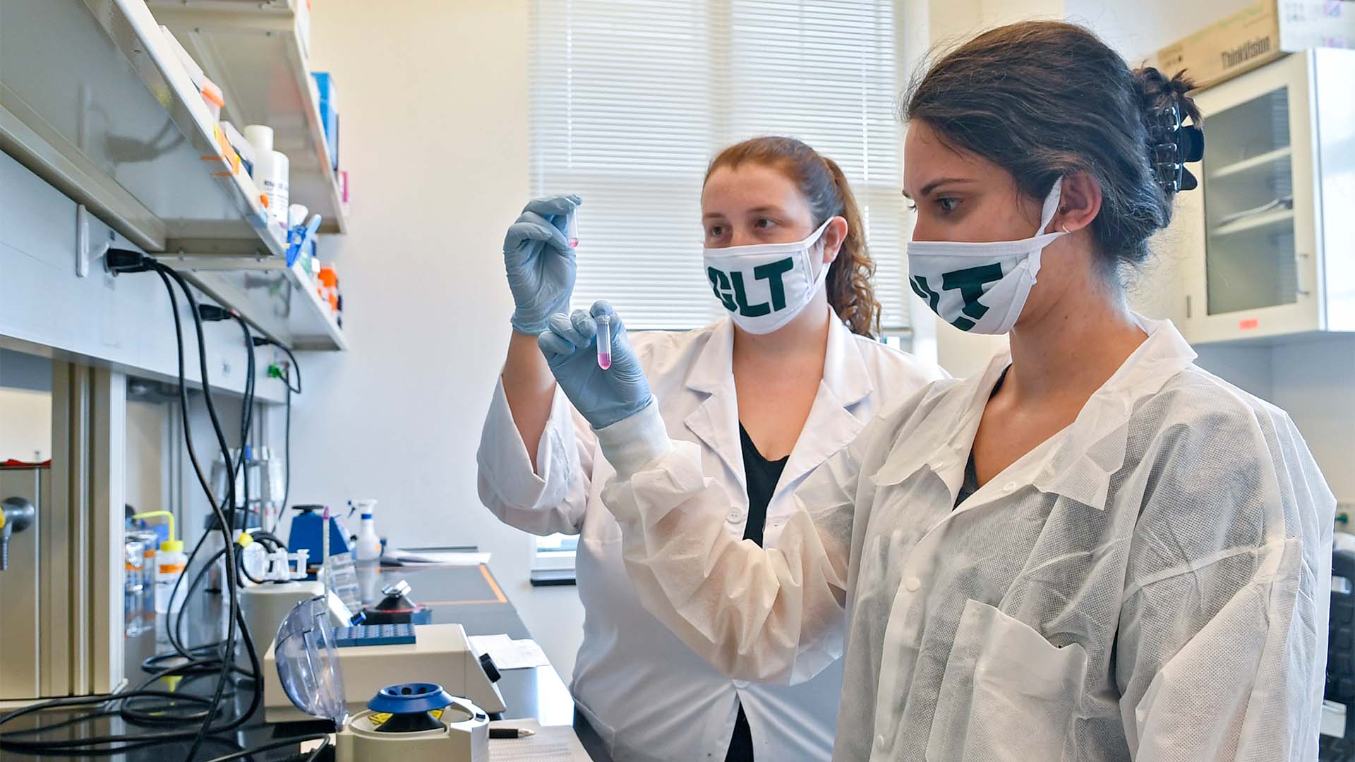 Students review samples in lab - University Communications