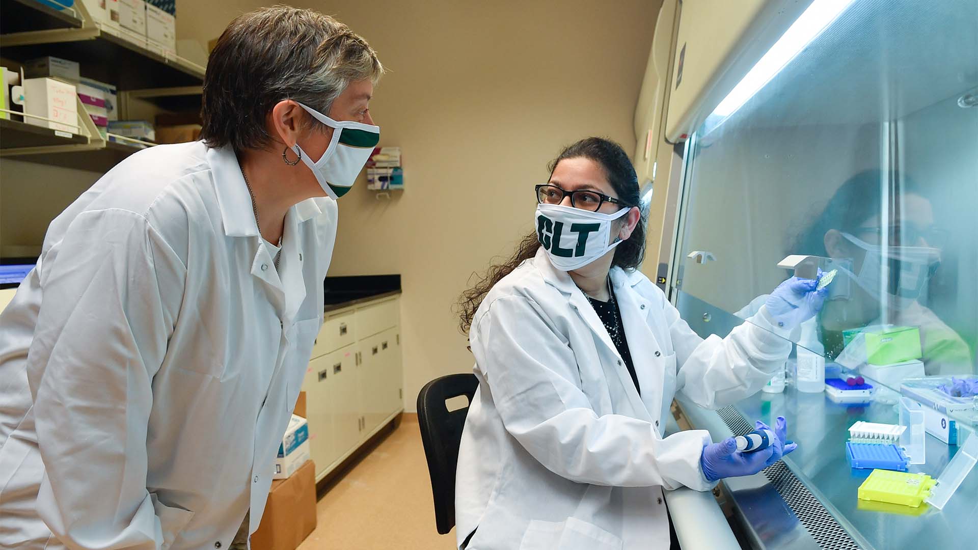 Professors discuss tests - University Communications